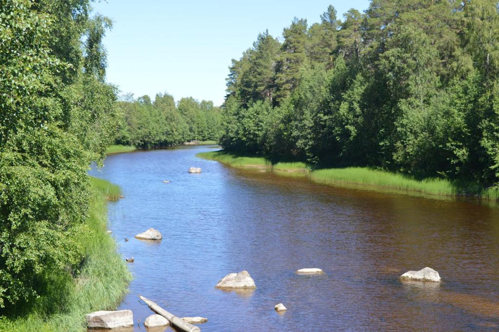 Příroda nedaleko hostelu