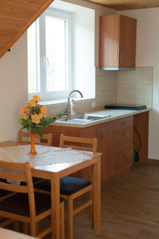 Kuchyň nebo kuchyňský kout v ubytování Vila Sofia