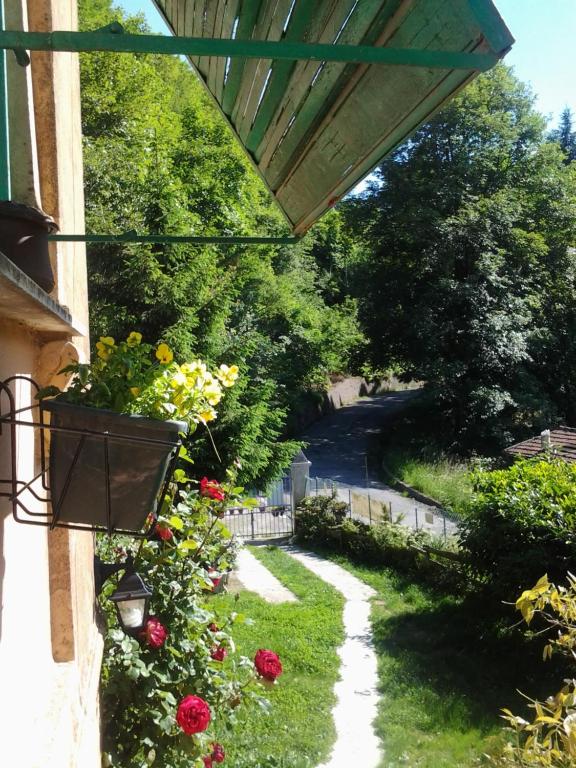 A garden outside villatiffany