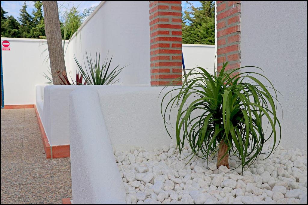 Zdjęcie z galerii obiektu Bungalow La Roa V w mieście Conil de la Frontera