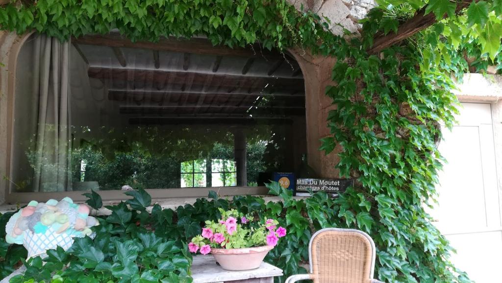 un patio con flores, mesa y sillas en Mas du Moutet, en La Capelle-et-Masmolène