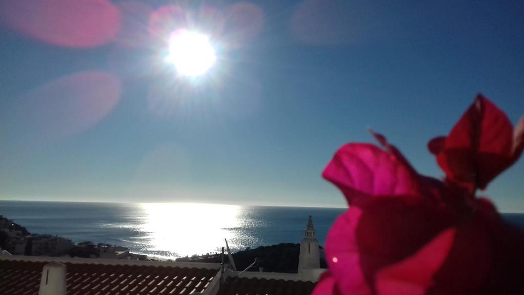 a pink flower in front of the sun and the ocean at DOCEVIDA Appartement # Ocean View in Salema
