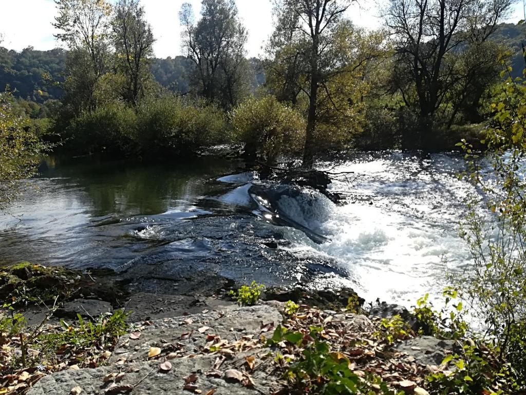 Příroda nedaleko penzionu