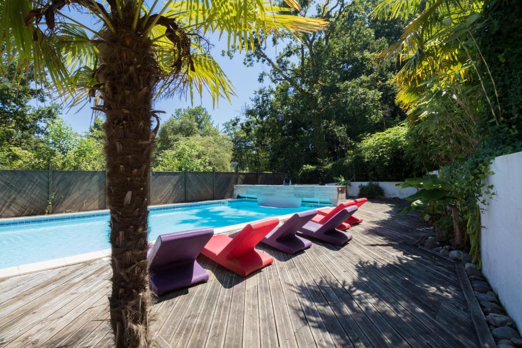 - une piscine avec des chaises longues rouges et violettes à côté d'un palmier dans l'établissement Les Collines Iduki, à Labastide-Clairence