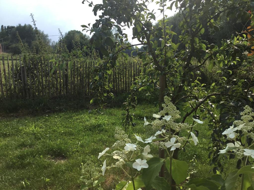 Gallery image of Bulles et Natures B&B in Hergnies