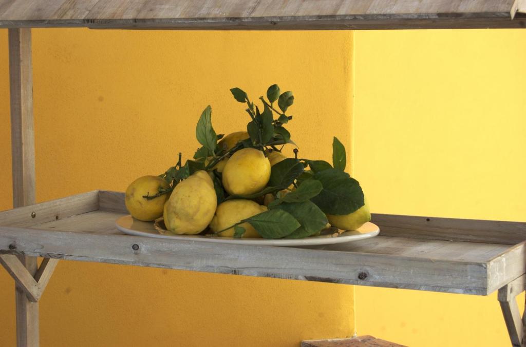 Fotografie z fotogalerie ubytování La Terrazza sul Mare v Capri