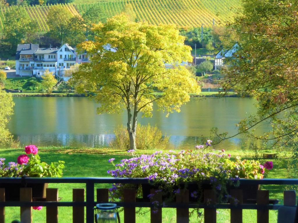 - une vue sur un lac avec des maisons et des fleurs dans l'établissement Haus Moselwiese, à Alf