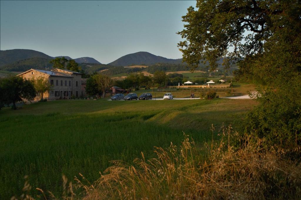 Príroda v okolí farmy