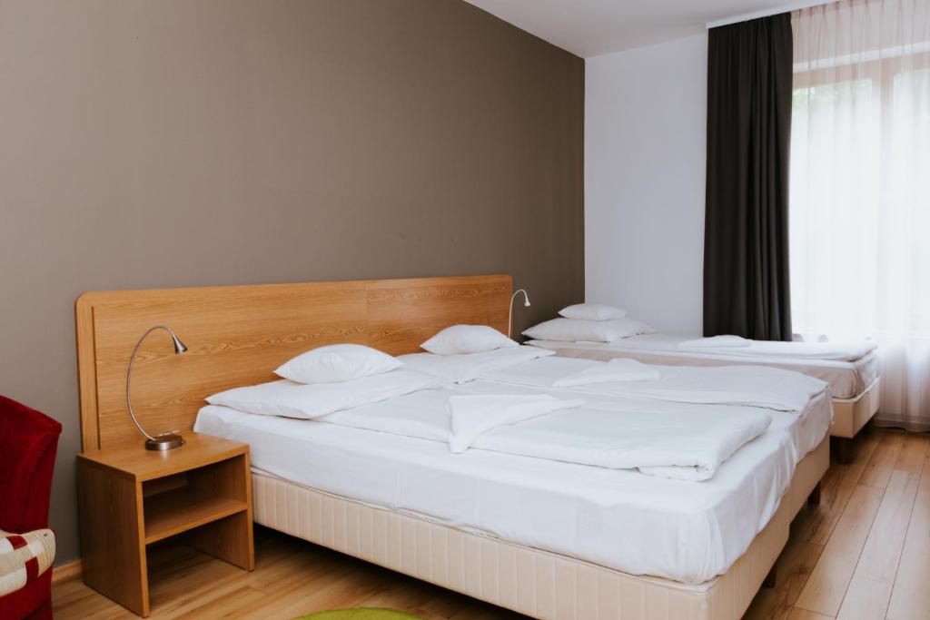 Postel nebo postele na pokoji v ubytování Hotel Mátrix