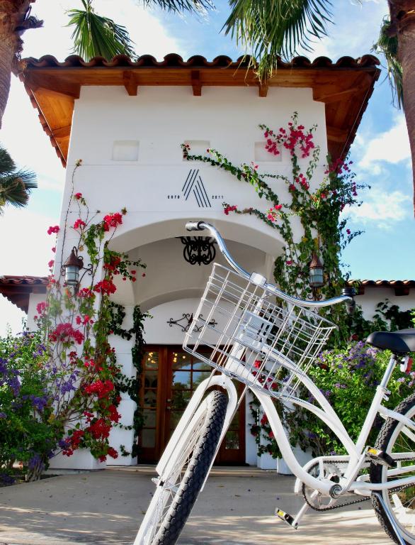 Jízda na kole v ubytování Alcazar Palm Springs nebo okolí