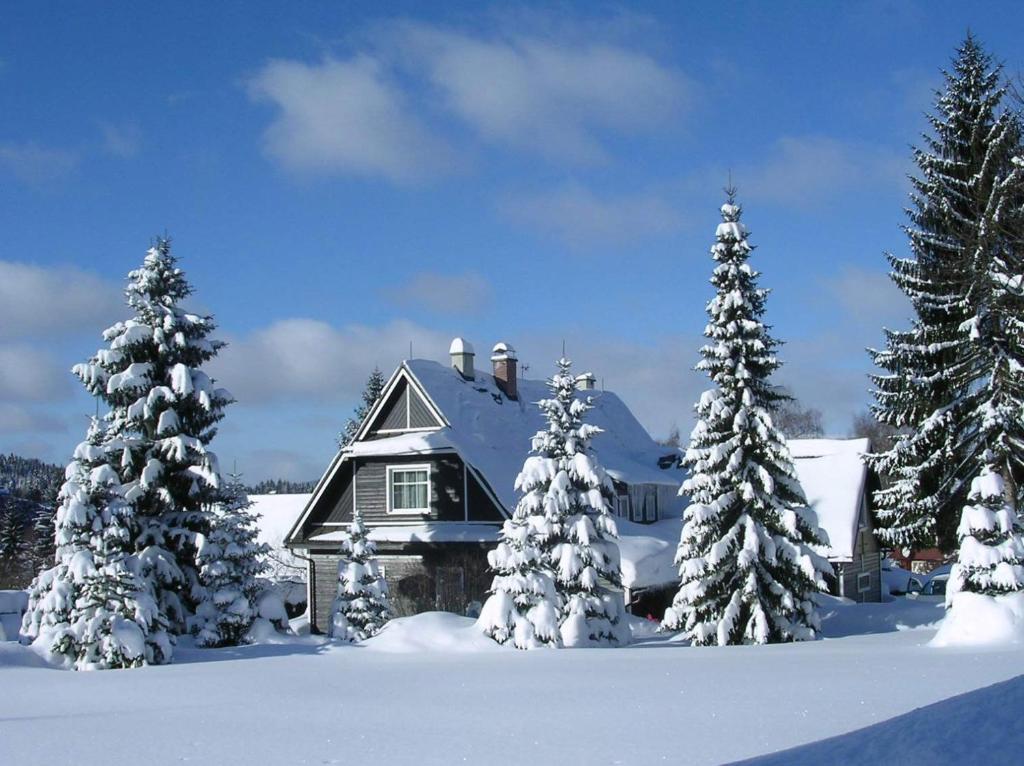 ハルラホフにあるPension Harrachovの雪に覆われた木々が目の前に広がる家