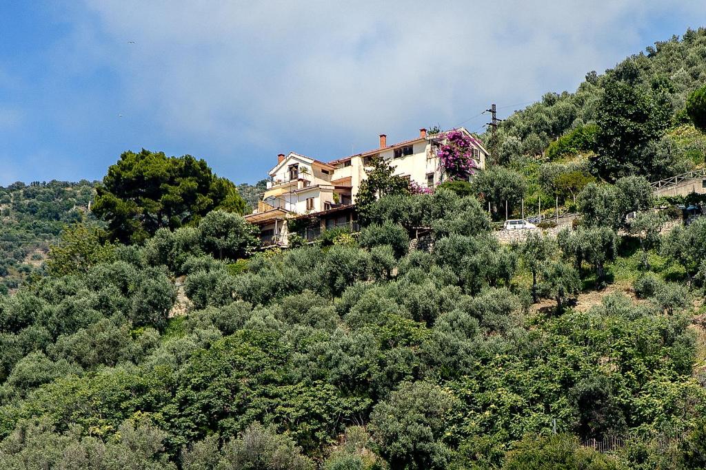 dom na zboczu wzgórza z drzewami w obiekcie La Fusarella Villa Santoro w mieście Vico Equense