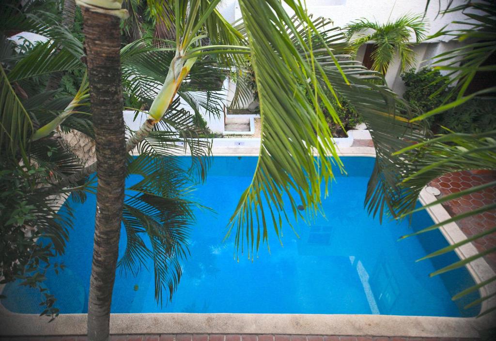 Bazén v ubytování Hotel Carrillos Cancun nebo v jeho okolí