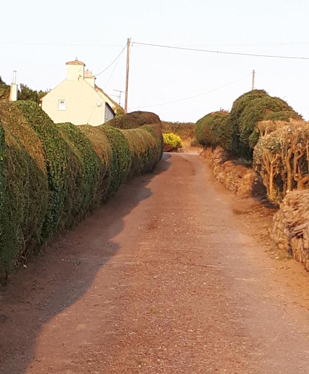 Traditional Farmhouse Accommodation