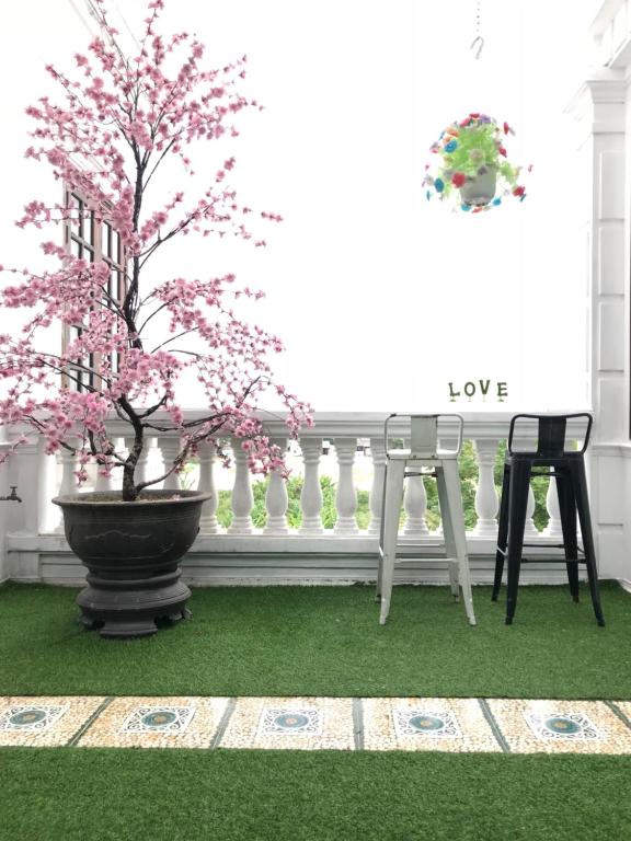 Timothy Homestay Hue - 6