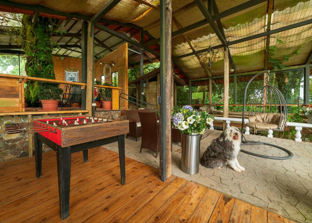 Fotografie z fotogalerie ubytování Altura Hotel v destinaci Poasito