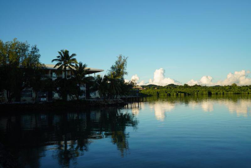科羅的住宿－海洋之星酒店，享有棕榈树和建筑的河流美景