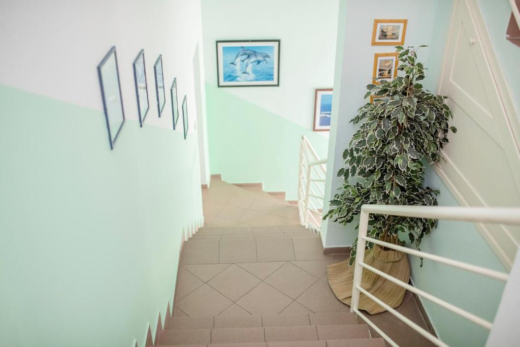 Fotografie z fotogalerie ubytování Guesthouse Šime v destinaci Kolan