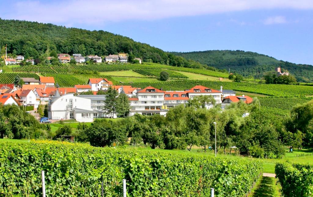 eine Stadt auf einem Hügel mit Weinbergen und Häusern in der Unterkunft Hotel Südpfalz-Terrassen in Gleiszellen-Gleishorbach