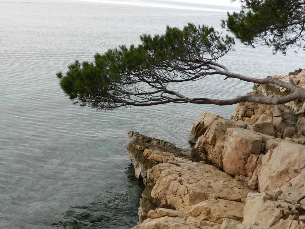 Apartmani Lucija Jurković - 19