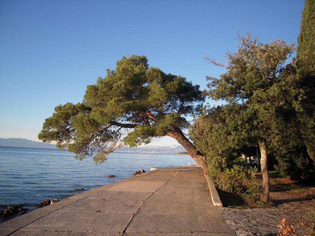 Apartmani Lucija Jurković - 18