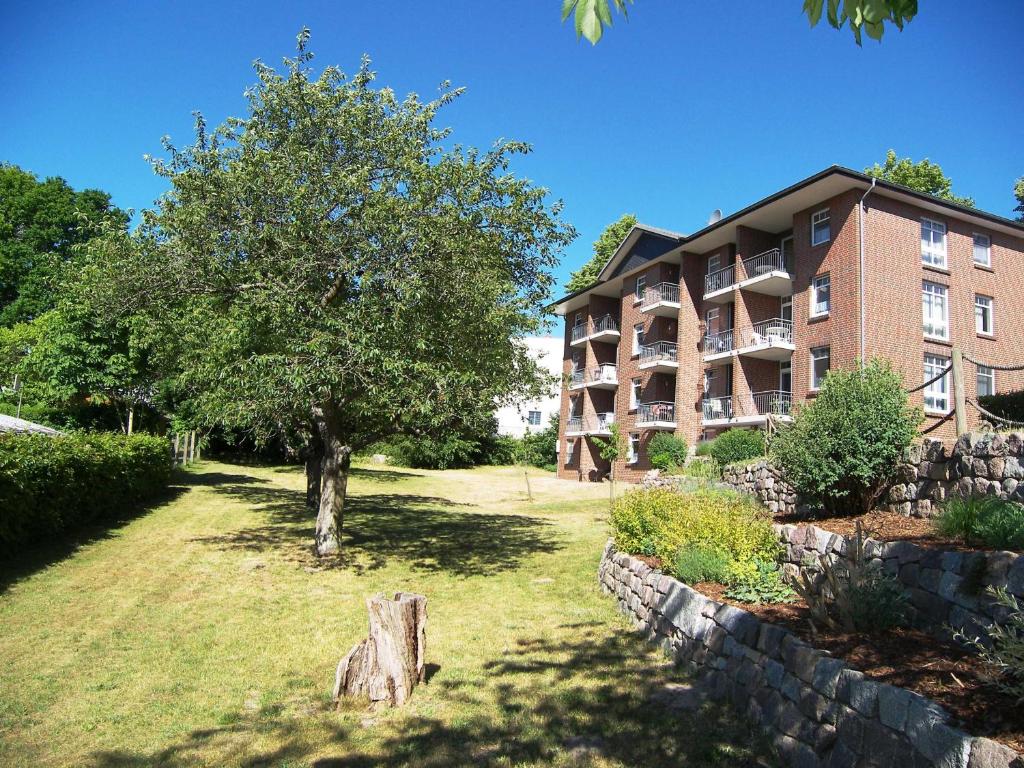 a building with a tree in front of a yard at Haus Roland- Whg 22 & 25 mit Schwimmbad und Sauna in Zinnowitz