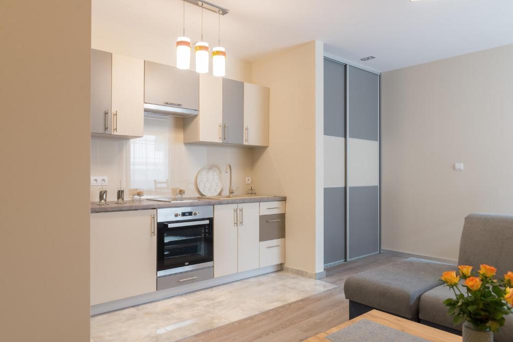 Kuchyňa alebo kuchynka v ubytovaní Apartamenty Koba