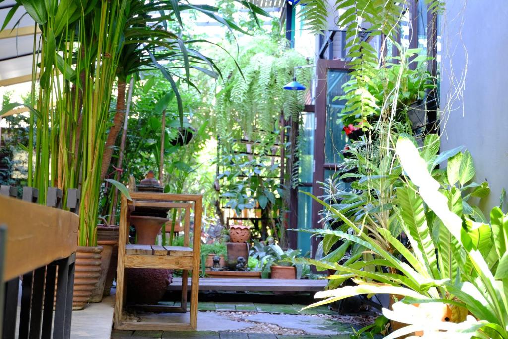 a garden with many plants in a room at The White Elephant Home in Chiang Mai
