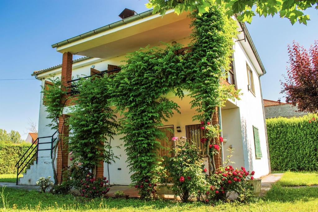 Zahrada ubytování Chalet en el Orbigo