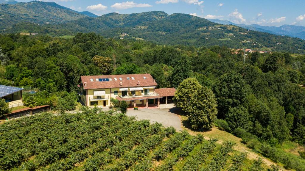 an aerial view of a house on a hill with a vineyard at Agriturismo Turina in Bricherasio