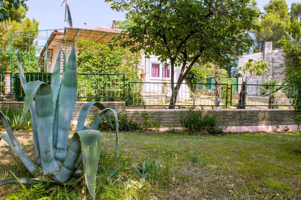 Ogród w obiekcie Holiday home I.D.A.
