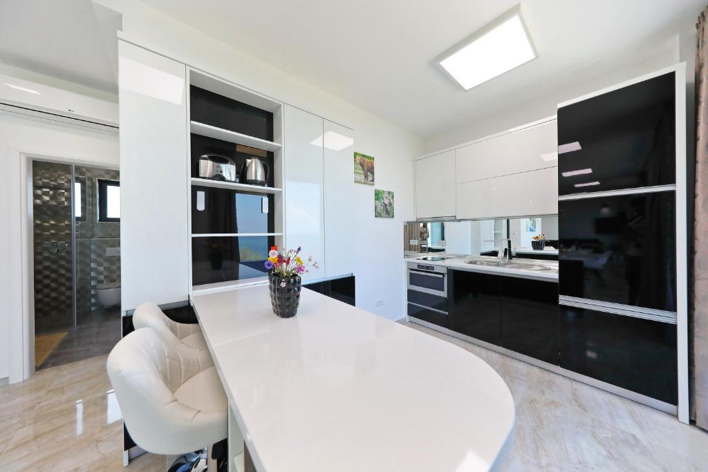 Kuchyň nebo kuchyňský kout v ubytování Apartments Dalmatia Infinity