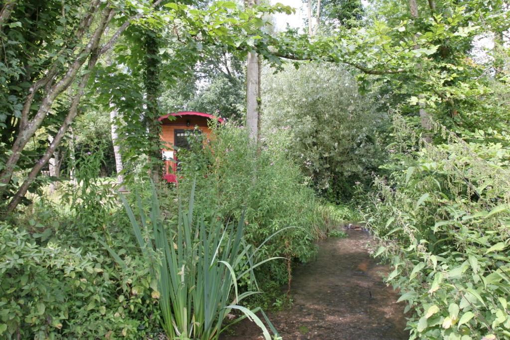 a path through a garden with plants and trees at La Maison de l'Omignon in Vermand