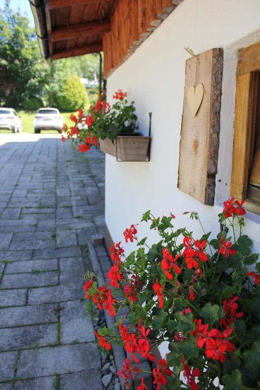 Zahrada ubytování Pension Schatzkisterl