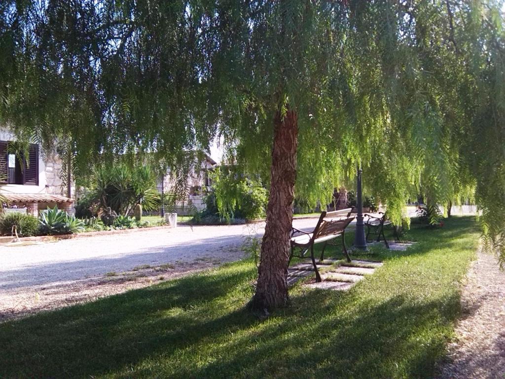 Zahrada ubytování B&B Villa Giusy