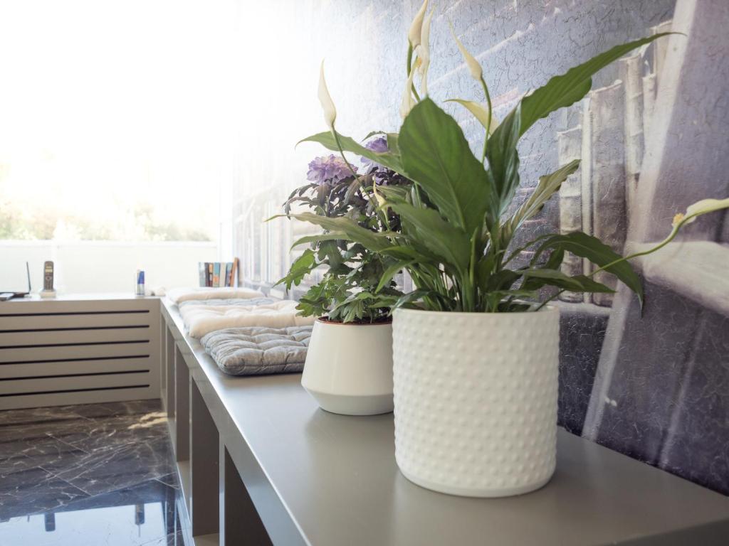 A balcony or terrace at Luxury Veni Acropolis View Apartment