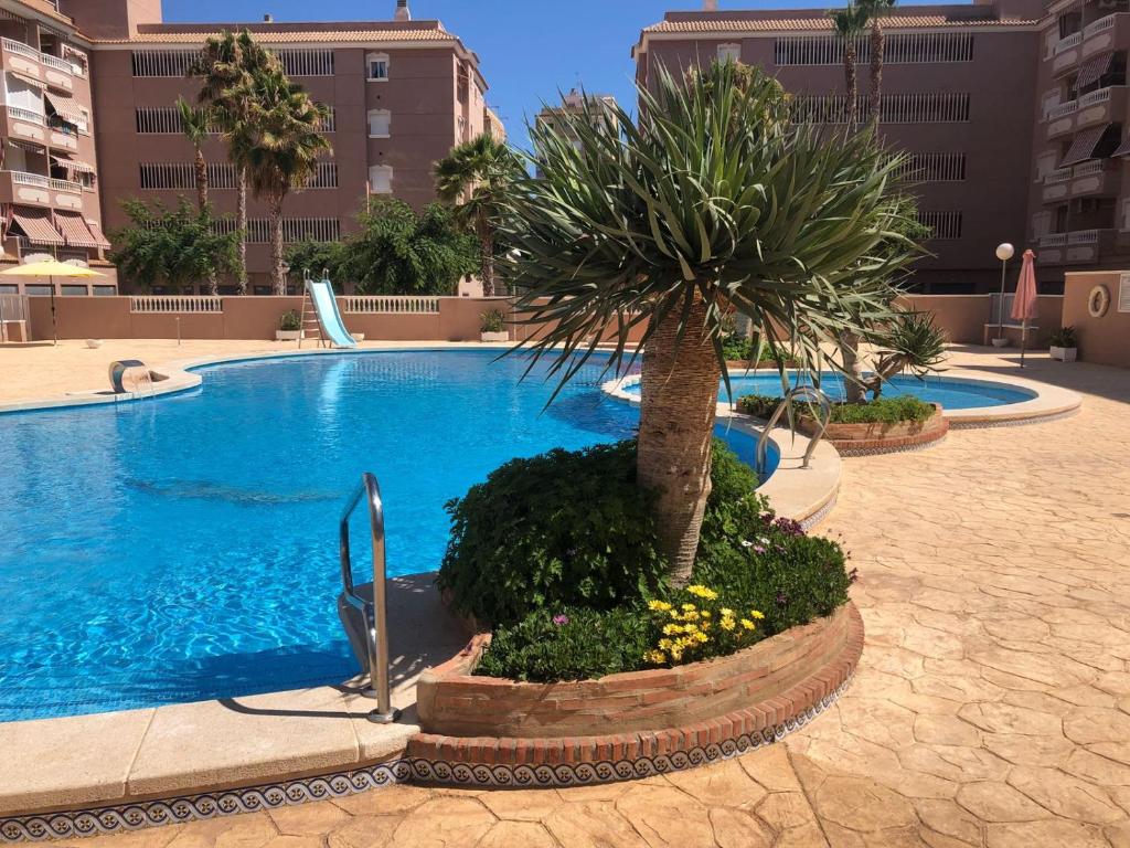 a swimming pool with a palm tree and flowers at Playa Lisa Studio in Santa Pola