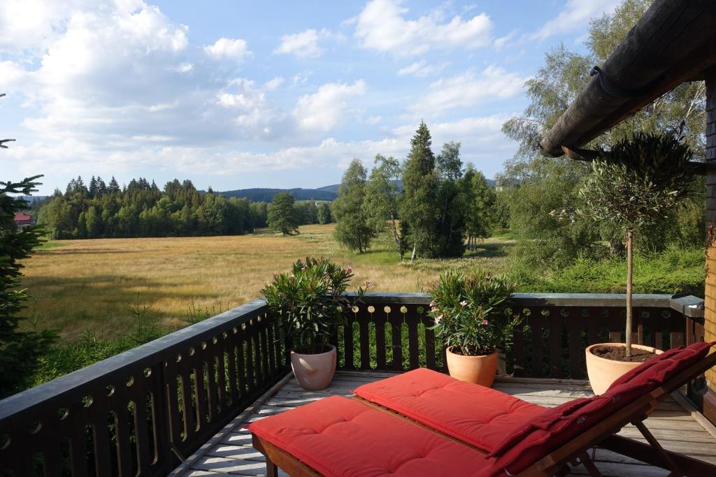 Příroda nedaleko bed and breakfast