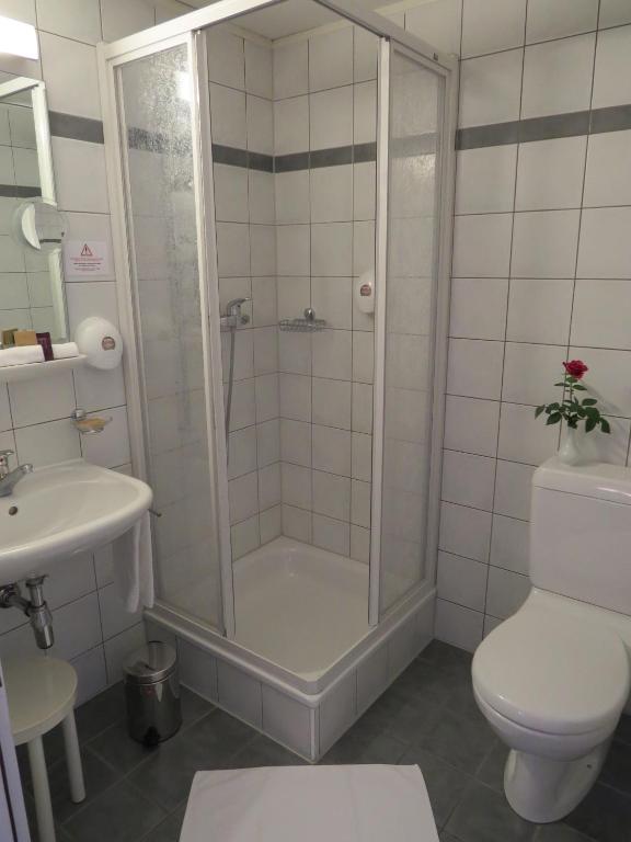 a bathroom with a shower and a toilet and a sink at Hôtel du Port in Lausanne