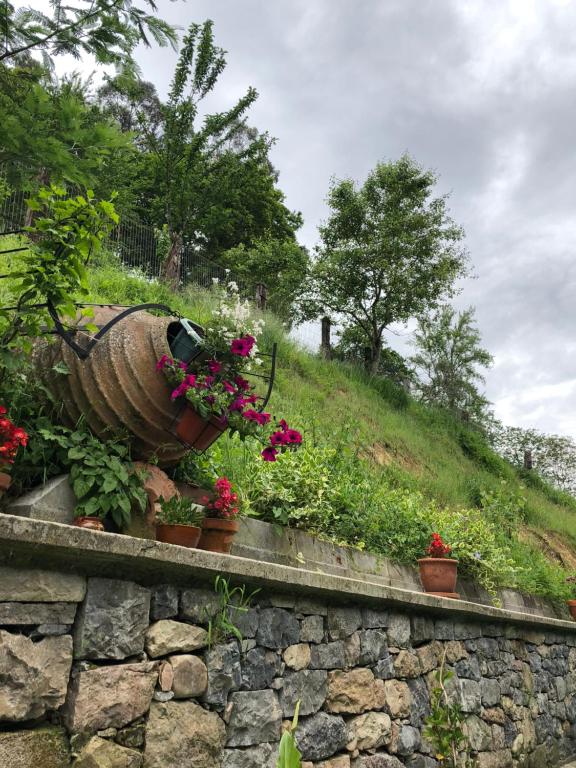Zahrada ubytování Alojamiento Rural Cosorios