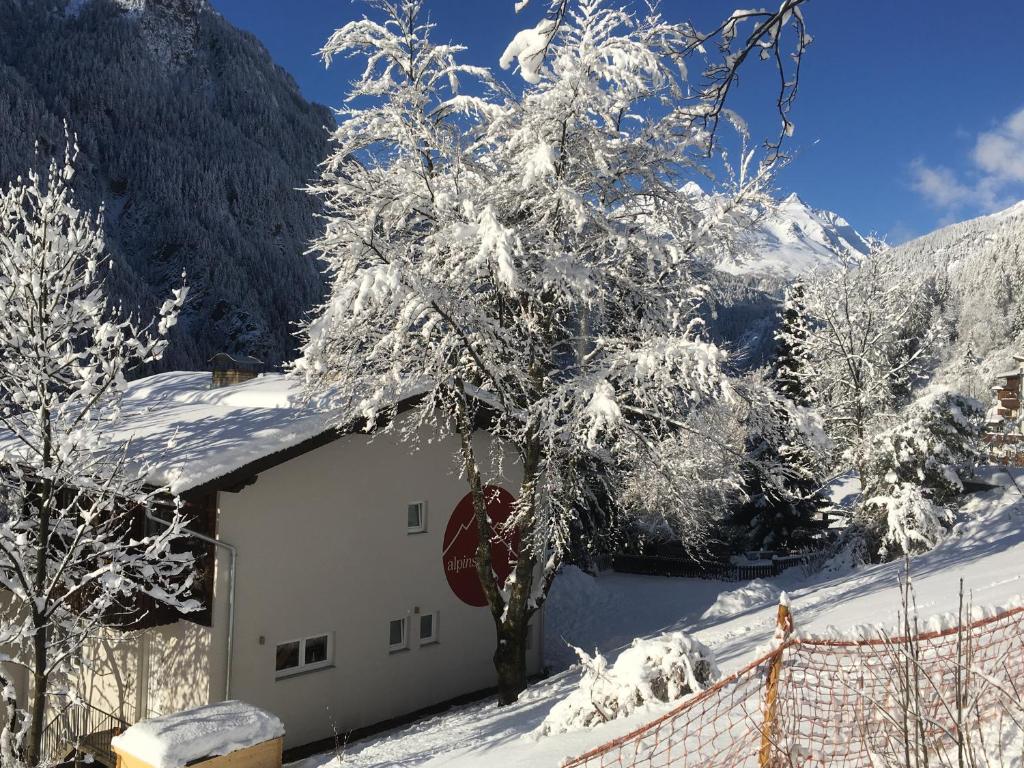 a tree covered in snow next to a building at Alpinside Appartements in Heiligenblut