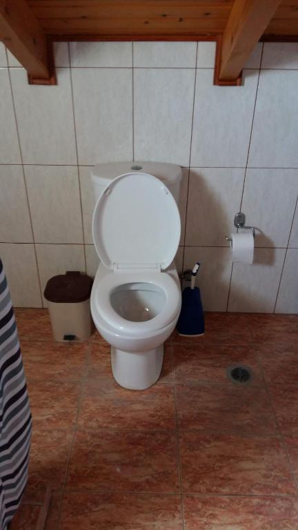 Koupelna v ubytování Natalya