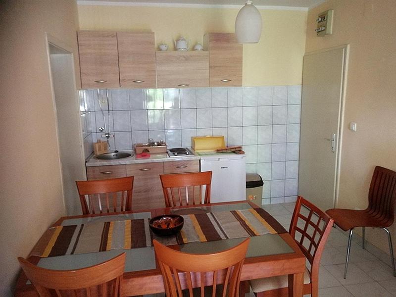 Köök või kööginurk majutusasutuses Apartmani i sobe Goca