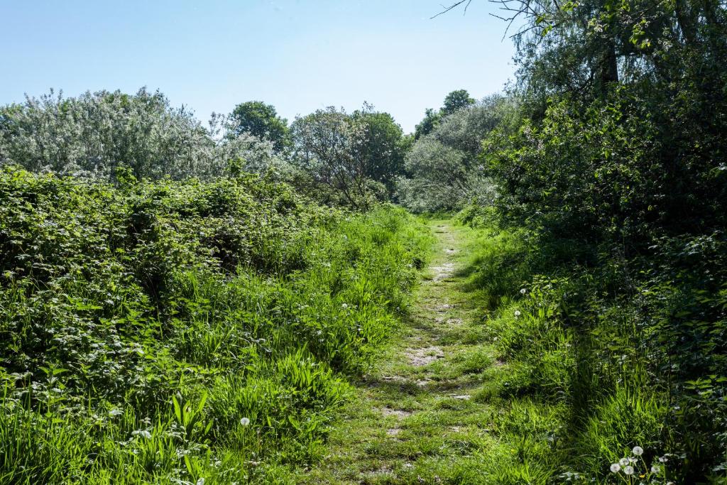 a dirt trail through a field of grass and trees at Boat Hotel De Barge in Bruges