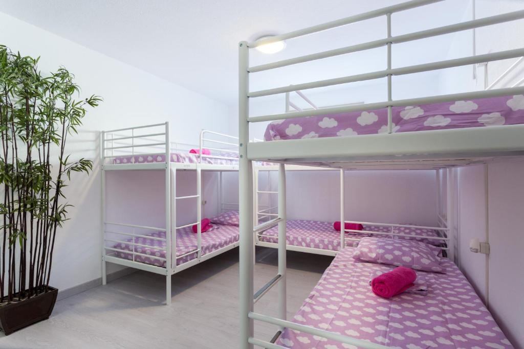 Safari Beach guest house - 4-Bed Female Dormitory Room