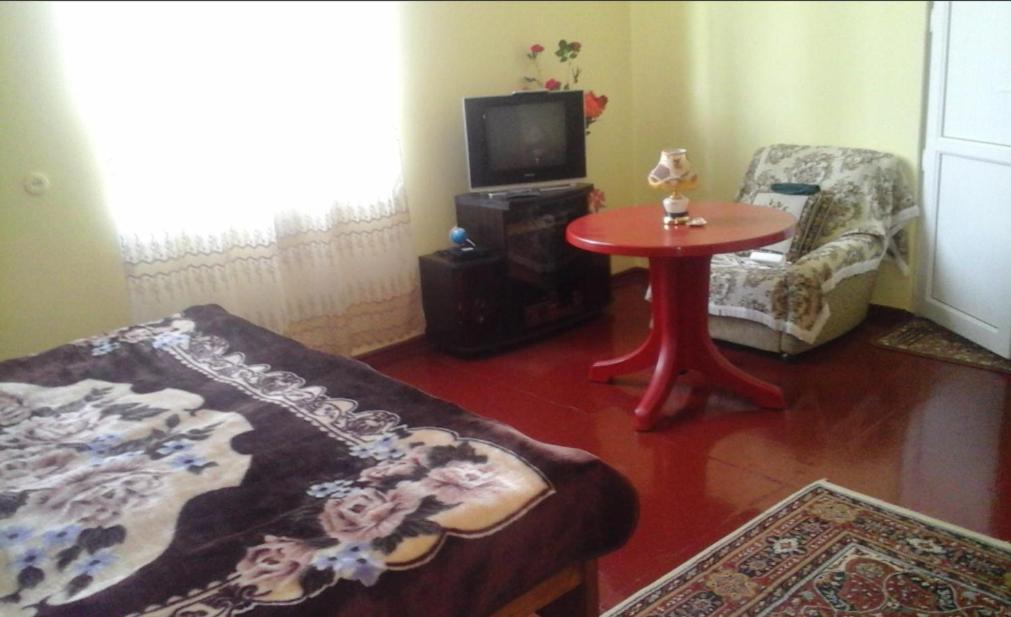 TV a/nebo společenská místnost v ubytování guest house ( guramishvili 19 )