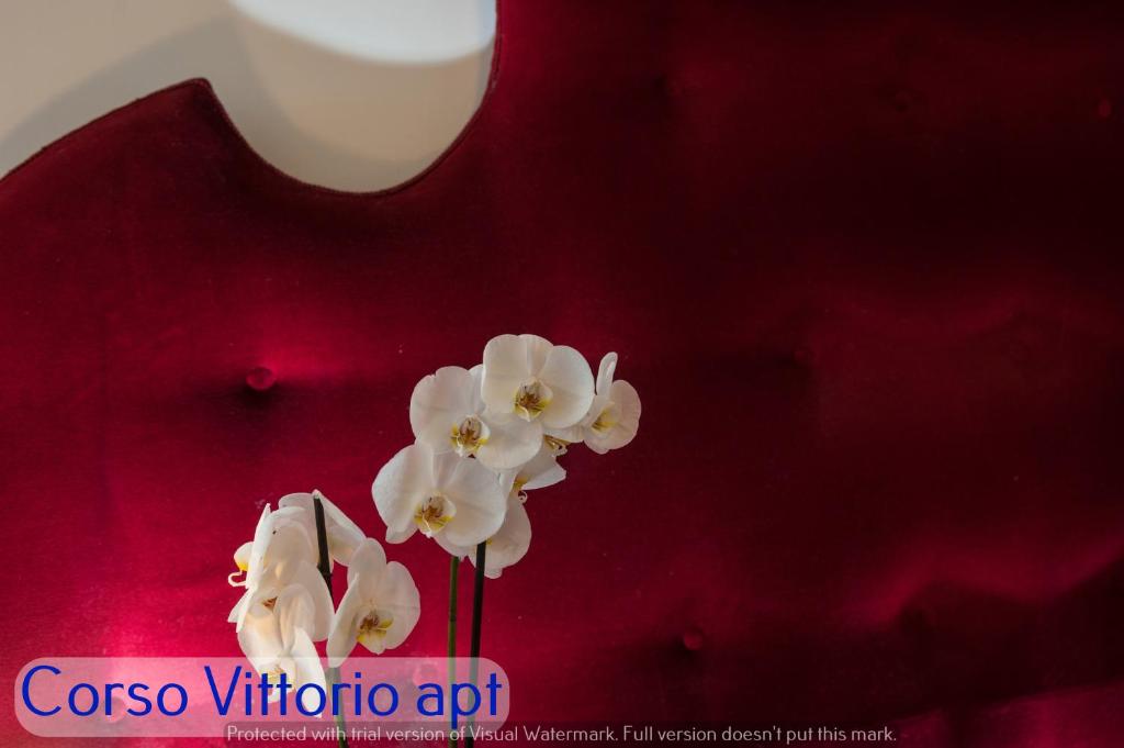 Corso Vittorio Apartments - 豪华公寓
