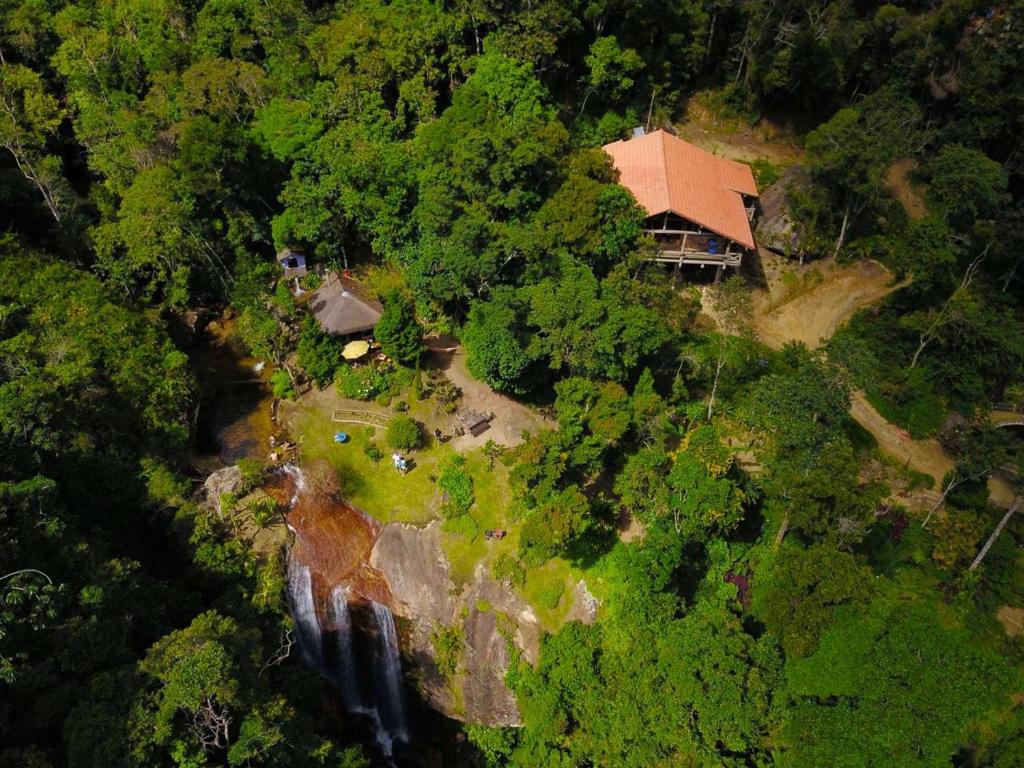  Chales Bamboo Jungle