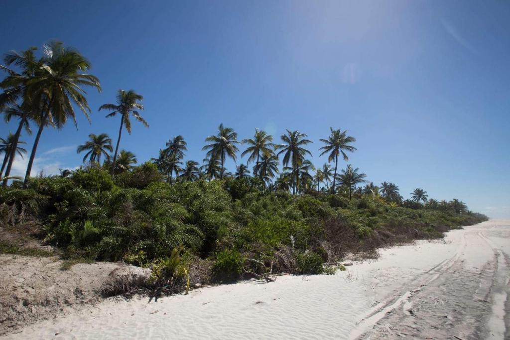  Casa de Praia Mico Leão