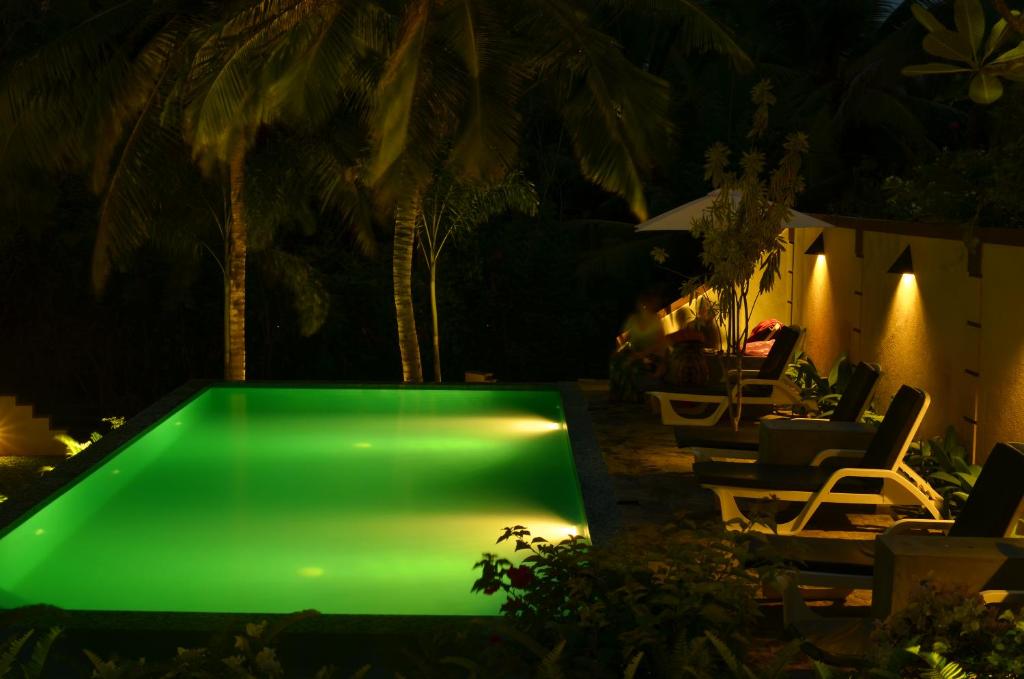 a green pool in a backyard at night at Goyambokka Guesthouse in Tangalle